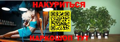 спайс Коммунар