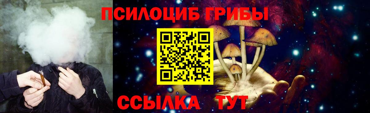 Псилоцибиновые грибы мухоморы  Вход с VPN  где найти наркотики  Костомукша 